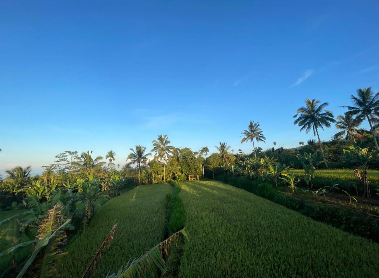 Opik Homestay Tete Batu Tetebatu Ngoại thất bức ảnh