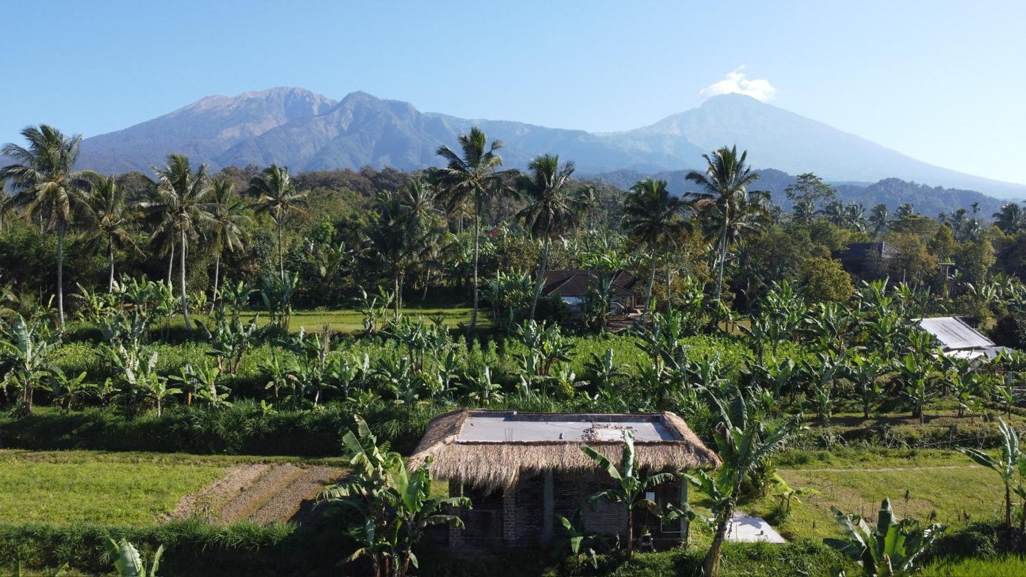 Opik Homestay Tete Batu Tetebatu Ngoại thất bức ảnh