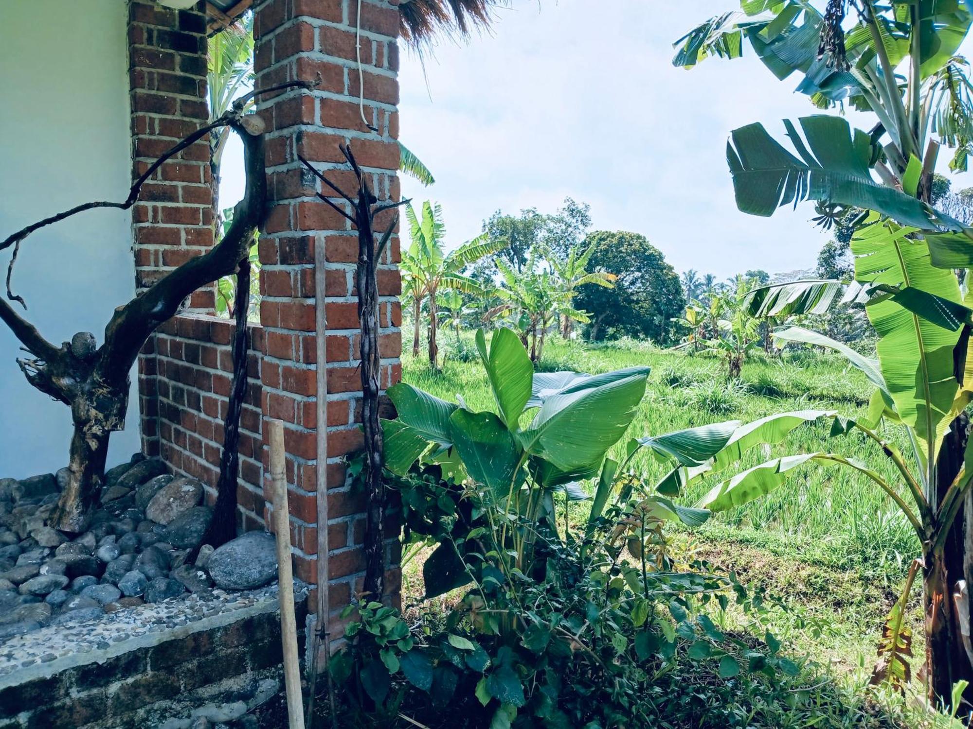 Opik Homestay Tete Batu Tetebatu Ngoại thất bức ảnh